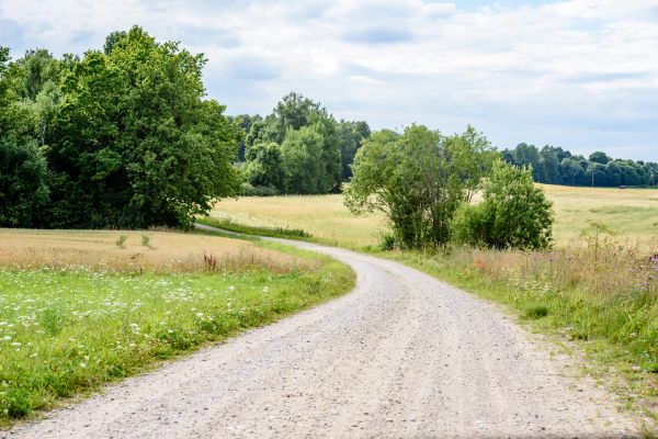 Cost of Stone Driveway Repair in Largo