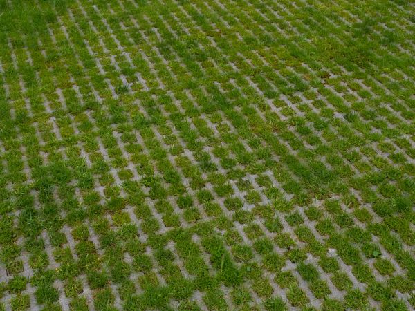 Permeable Pavement Service in Largo