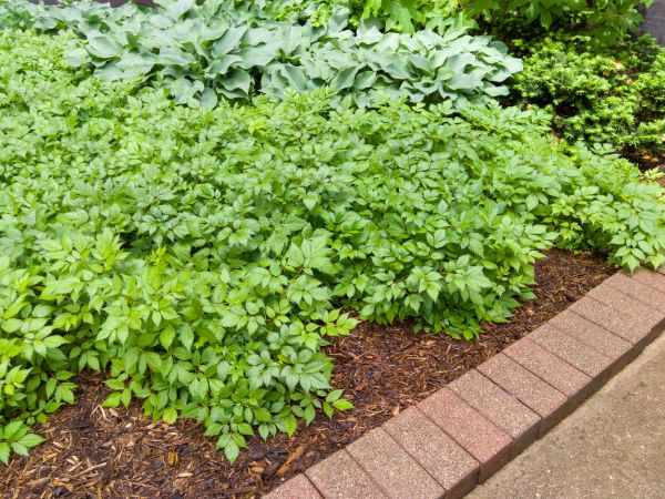 Cost of Brick Hardscaping in Largo